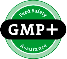 gmp+